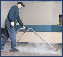 Carpet Steam Cleaning